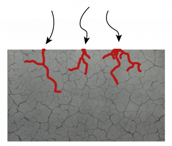 Spannungsrisskorrosion an Korngrenzen