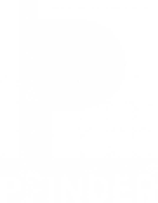 Logo PFINDER weiß