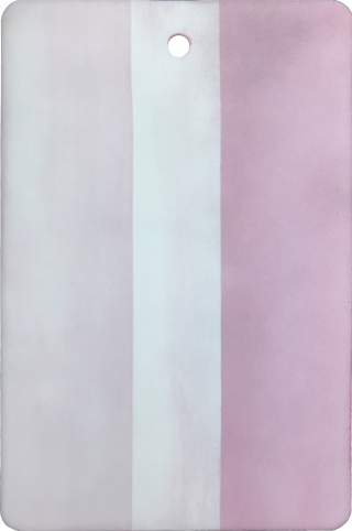 Radiation area of the PFINDER 73 ProLight